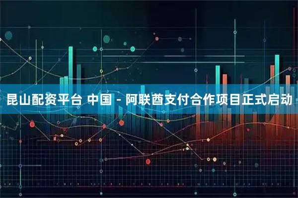 昆山配资平台 中国－阿联酋支付合作项目正式启动